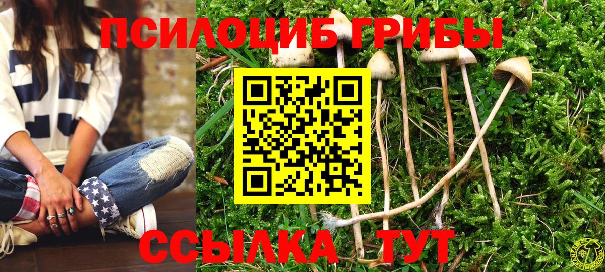 Галлюциногенные грибы Psilocybine cubensis Чебаркуль