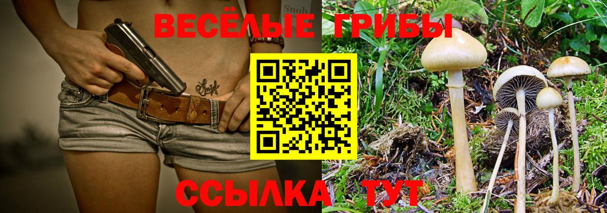 Чебаркуль  Галлюциногенные грибы Cubensis  Вход с VPN 